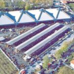 mercato-di-borgo-dale_baravantan